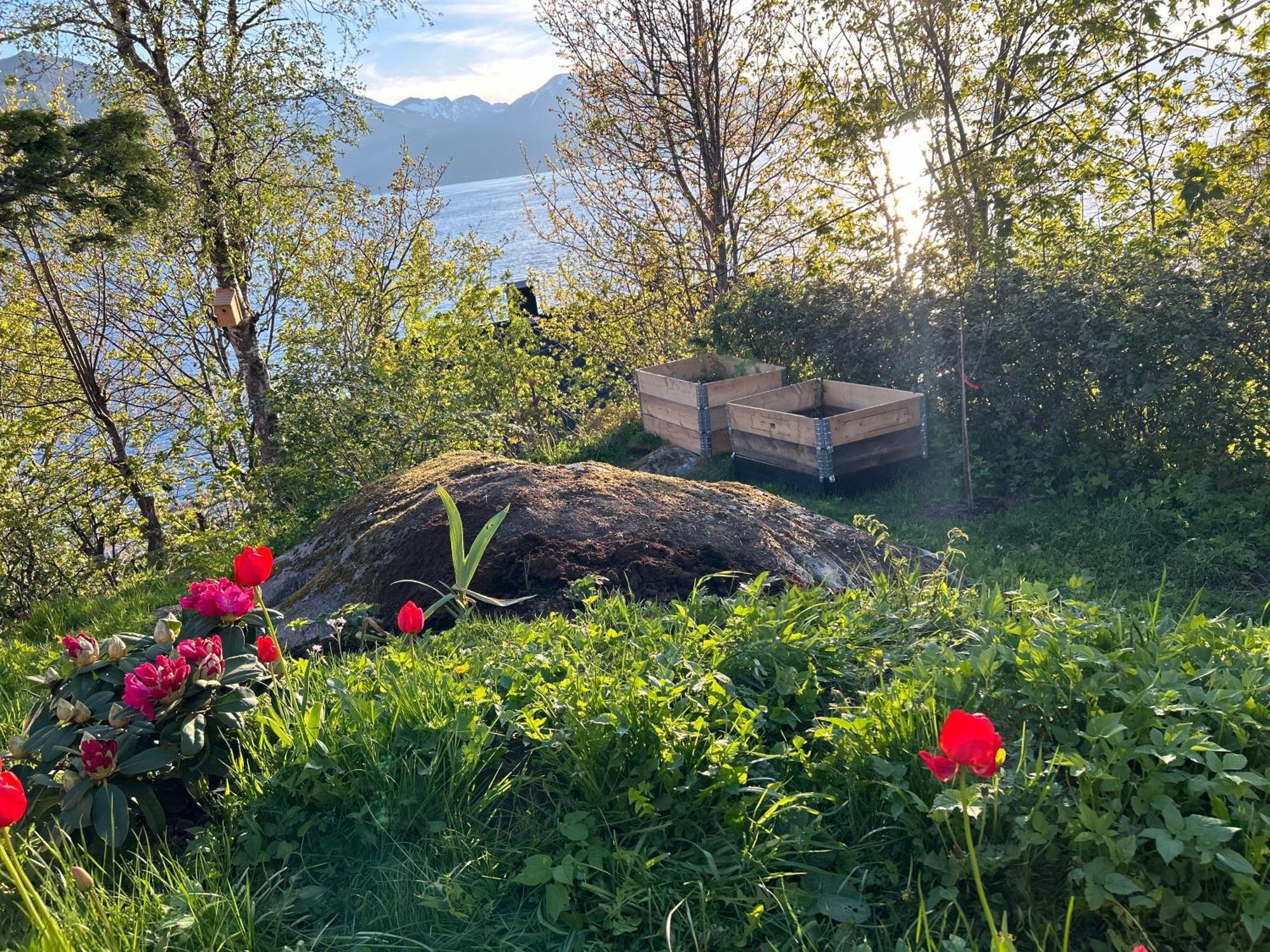 Bed and Breakfast Line Pa Hauane1 Volda Exteriér fotografie
